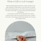 The Art of Aging in Reverse